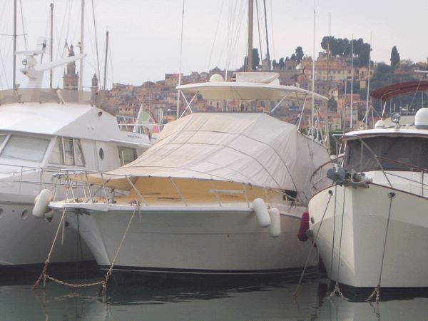 Cagnaro Invernale