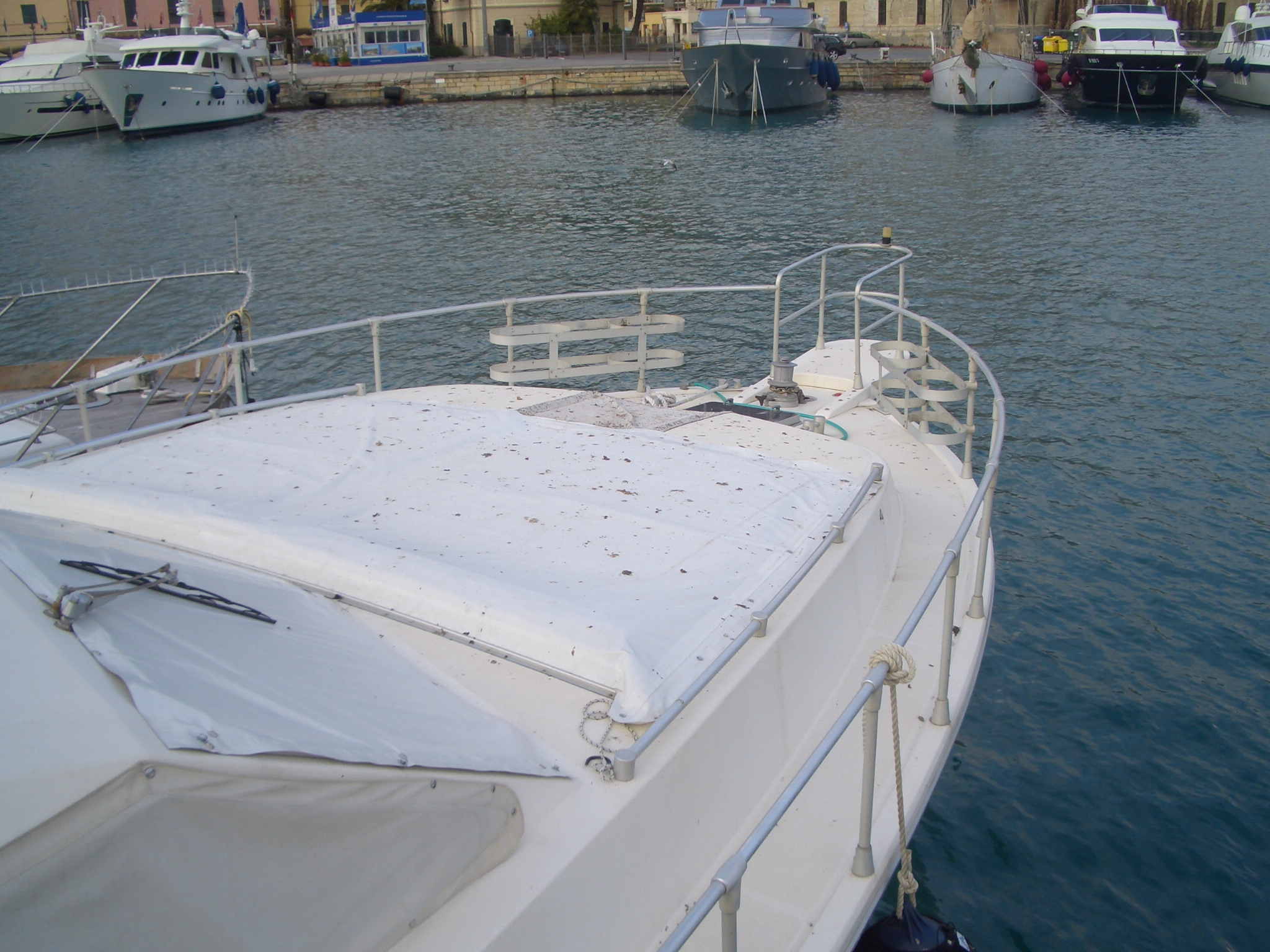 03 Guano